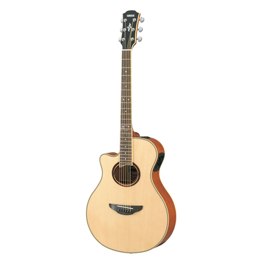 Acoustic Guitar APX700